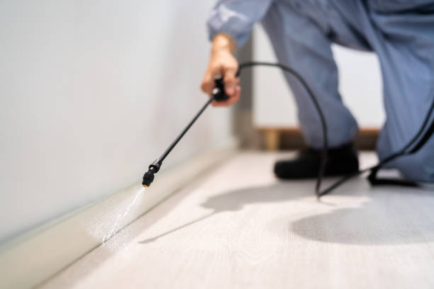 Bed Bug Pre-Treatment Preparation Assessment in Ronceverte
