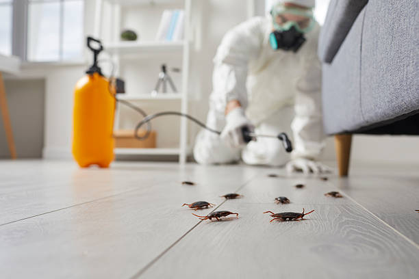 Post-Treatment Bed Bug Interceptor Monitoring in Ronceverte