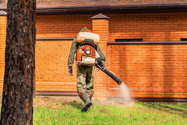 Bed Bug Clearance Verification and Documentation in Ronceverte